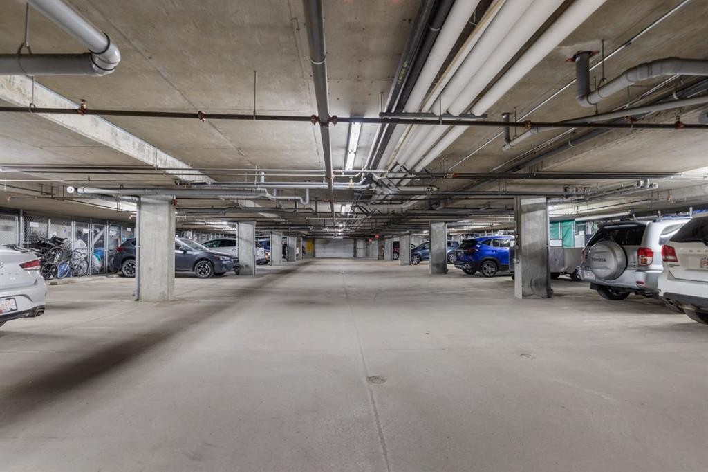 3306-279 Copperpond Common Se, Calgary, AB - Indoor Photo Showing Garage