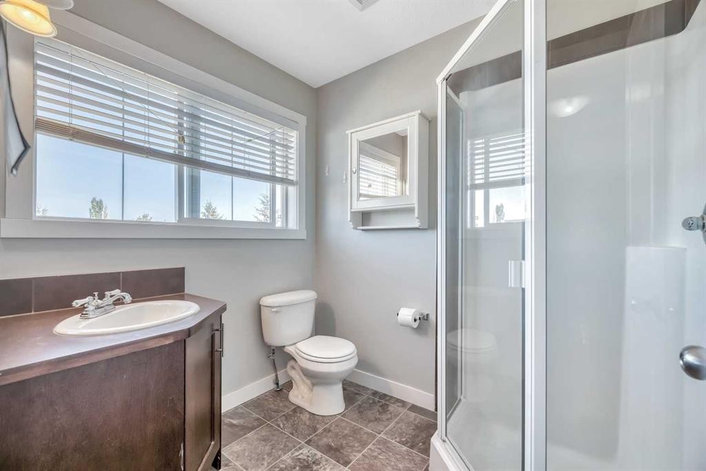 238 Ranch Ridge Meadow, Strathmore, AB - Indoor Photo Showing Bathroom