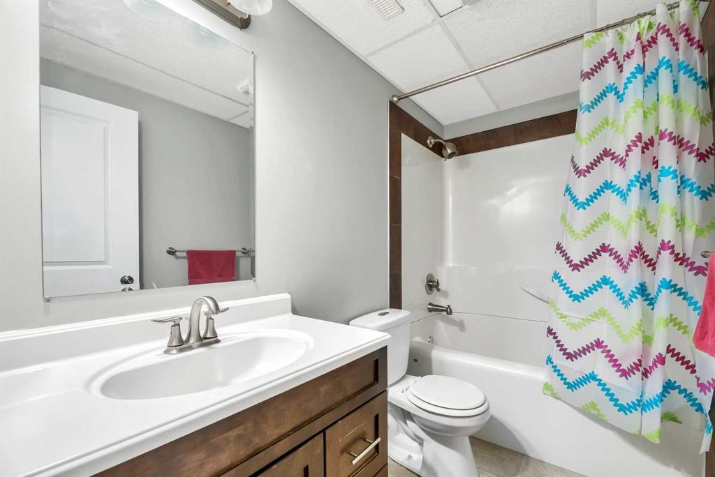 238 Ranch Ridge Meadow, Strathmore, AB - Indoor Photo Showing Bathroom