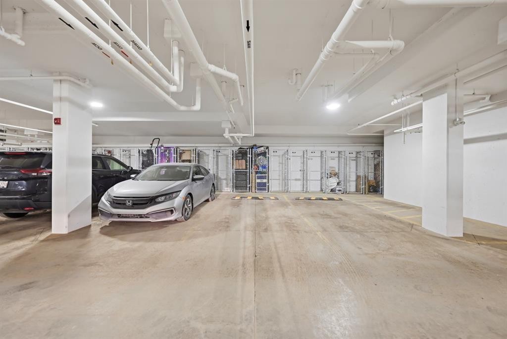 2304-44 Skyview Parkway, Calgary, AB - Indoor Photo Showing Garage