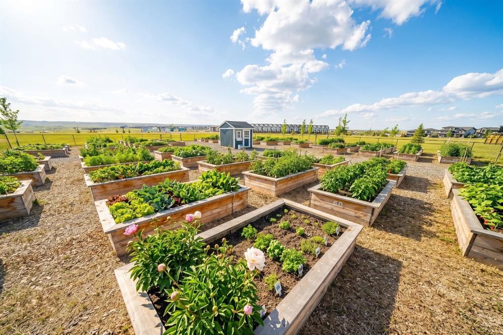 84 Saltsage Heath, Rural Rocky View County, AB - Outdoor With View