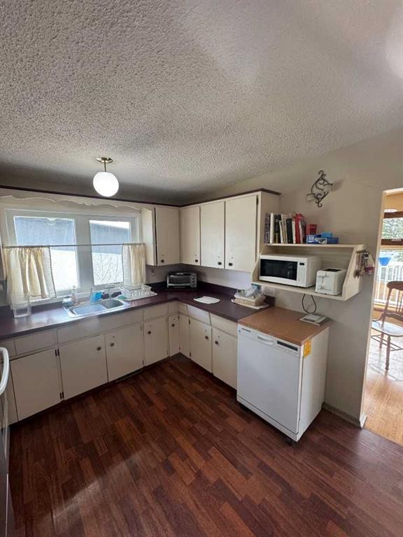 201 Holland Street Nw, Calgary, AB - Indoor Photo Showing Kitchen With Double Sink