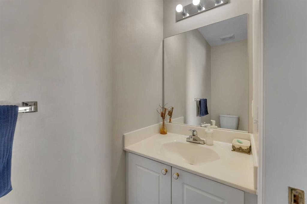 92 Taradale Drive Ne, Calgary, AB - Indoor Photo Showing Bathroom