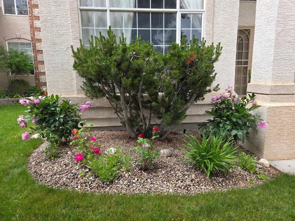 123 Schiller Crescent Nw, Calgary, AB - Outdoor