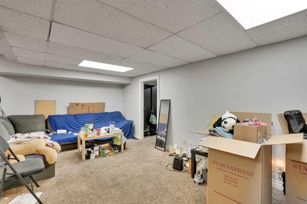 528 Whiteridge Way Ne, Calgary, AB - Indoor Photo Showing Basement