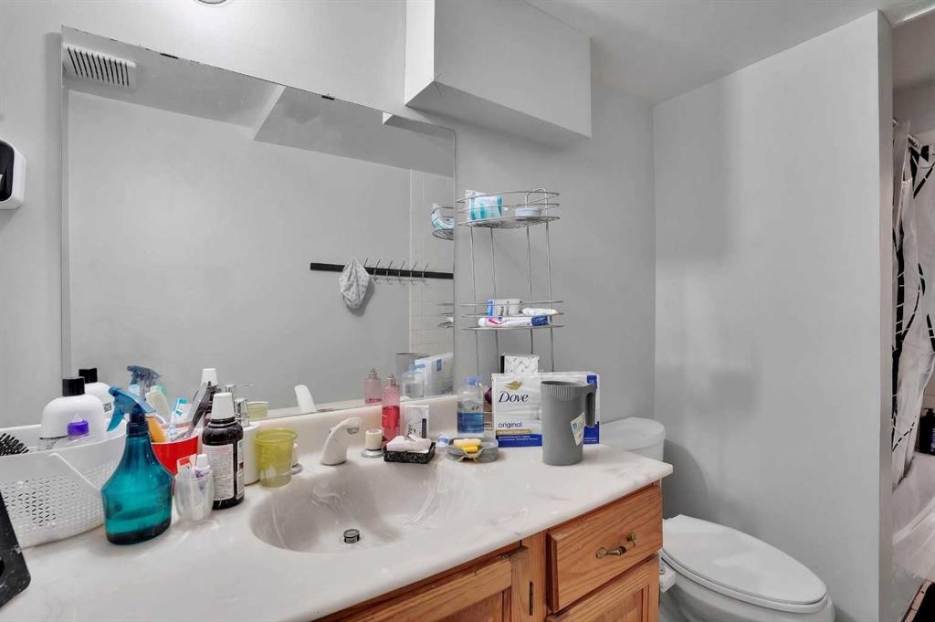 528 Whiteridge Way Ne, Calgary, AB - Indoor Photo Showing Bathroom