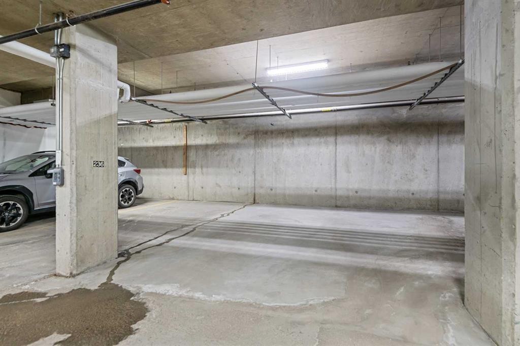 7204-14 Hemlock Crescent Sw, Calgary, AB - Indoor Photo Showing Garage