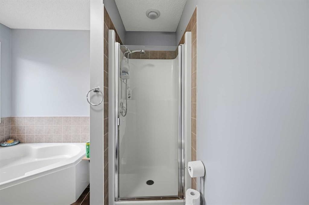 61 Saddleland Drive Ne, Calgary, AB - Indoor Photo Showing Bathroom