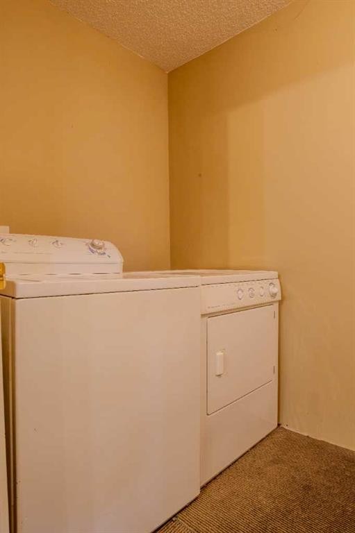 161 Saddlecrest Close Ne, Calgary, AB - Indoor Photo Showing Laundry Room