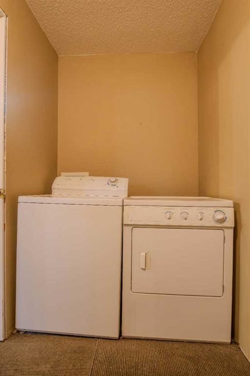 161 Saddlecrest Close Ne, Calgary, AB - Indoor Photo Showing Laundry Room