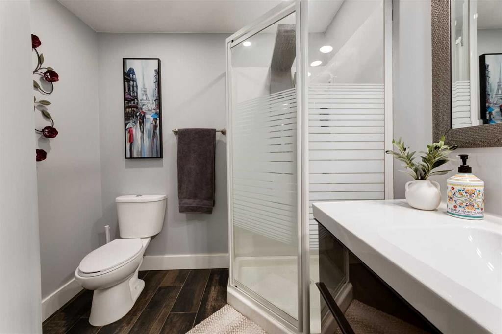 9915 Patton Road Sw, Calgary, AB - Indoor Photo Showing Bathroom