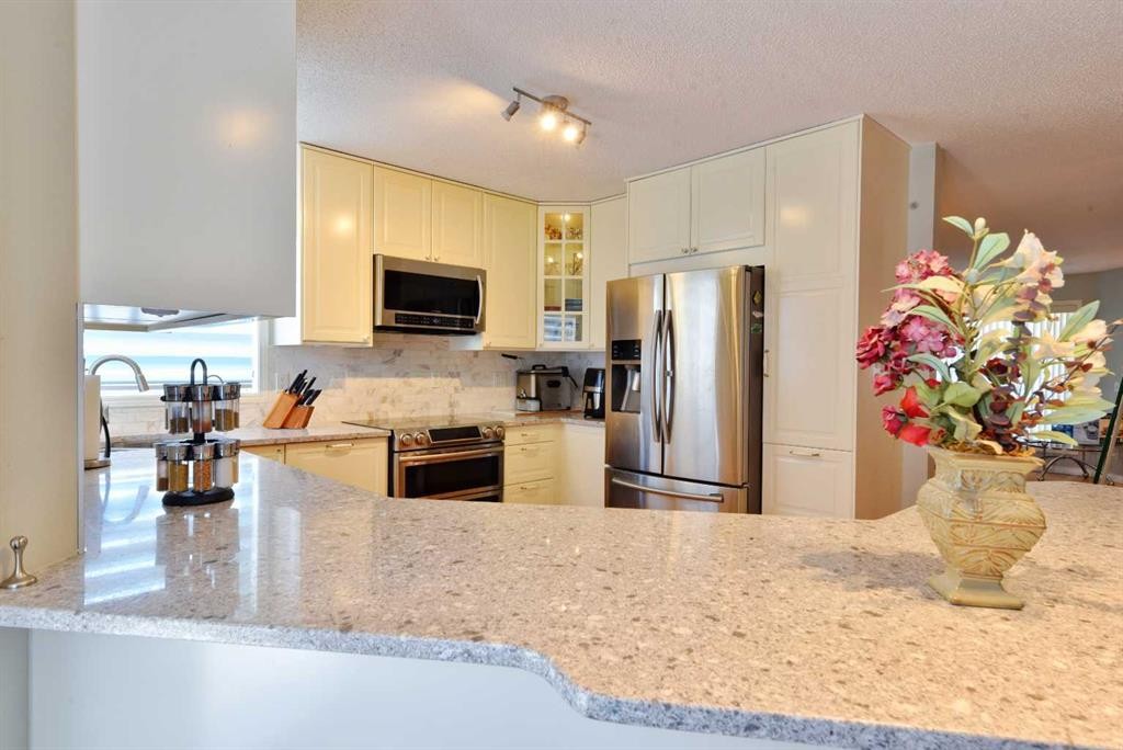 105 Coral Springs Close Ne, Calgary, AB - Indoor Photo Showing Kitchen With Upgraded Kitchen
