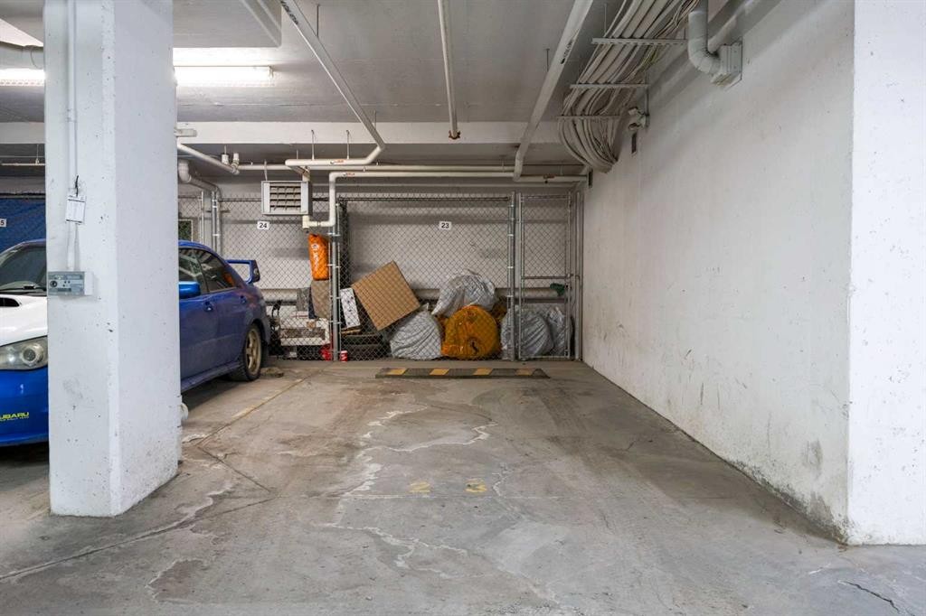 5209-155 Skyview Ranch Way Ne, Calgary, AB - Indoor Photo Showing Garage
