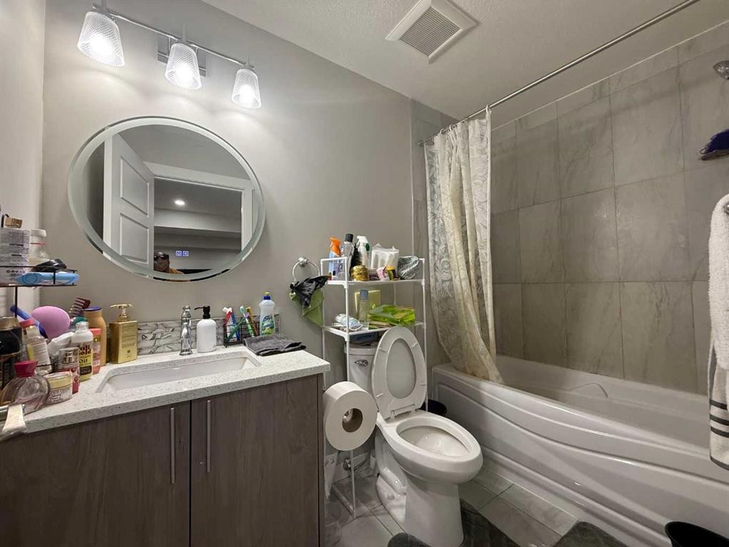 21 Red Embers Common Ne, Calgary, AB - Indoor Photo Showing Bathroom