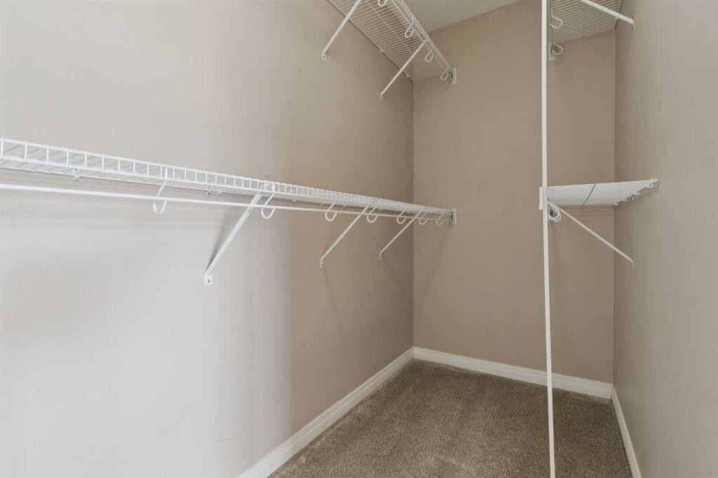 74 Skyview Point Green Ne, Calgary, AB - Indoor With Storage