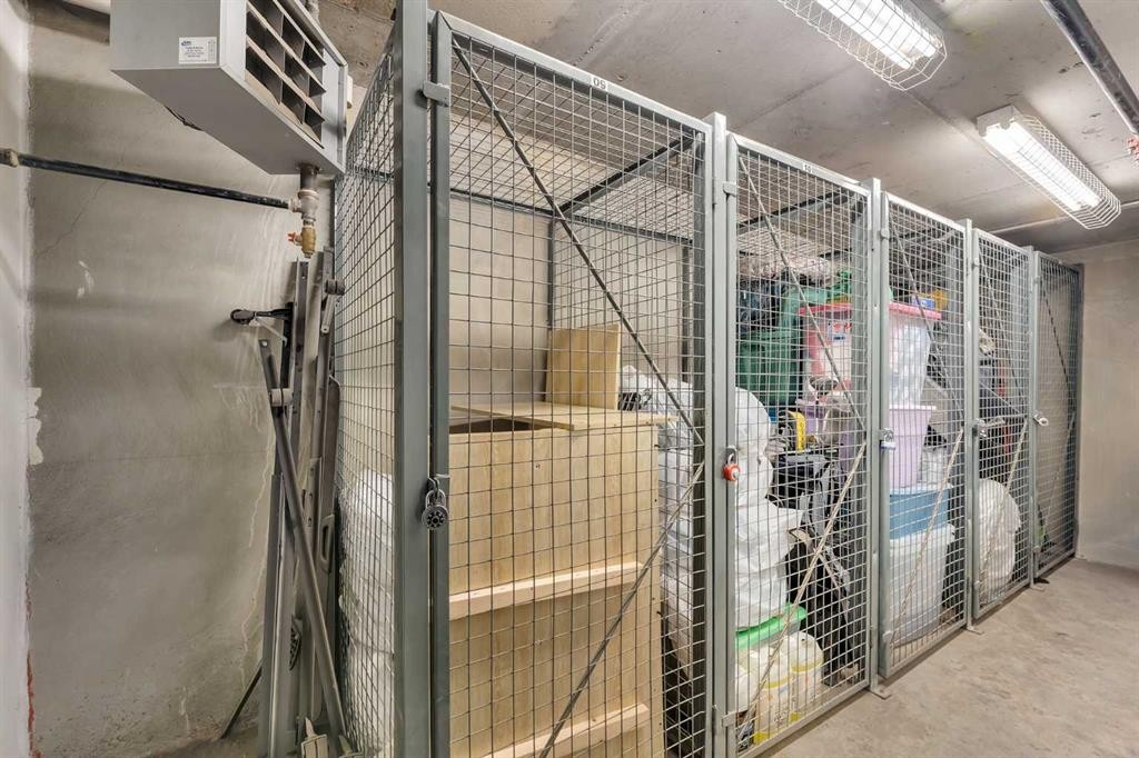 220-323 20 Avenue Sw, Calgary, AB - Indoor With Storage