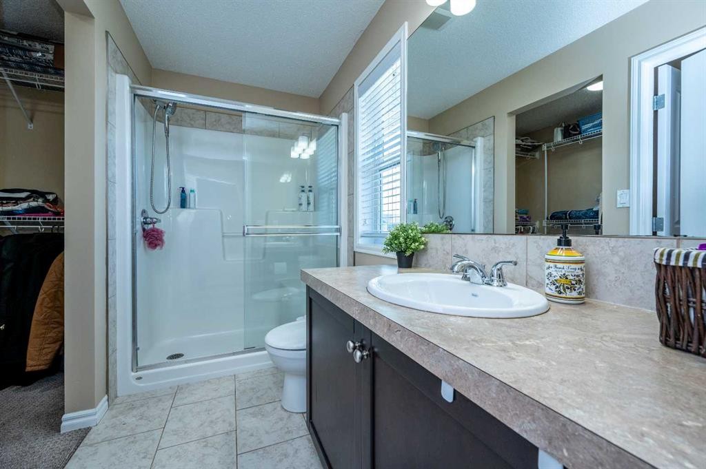 57 Skyview Point Common Ne, Calgary, AB - Indoor Photo Showing Bathroom
