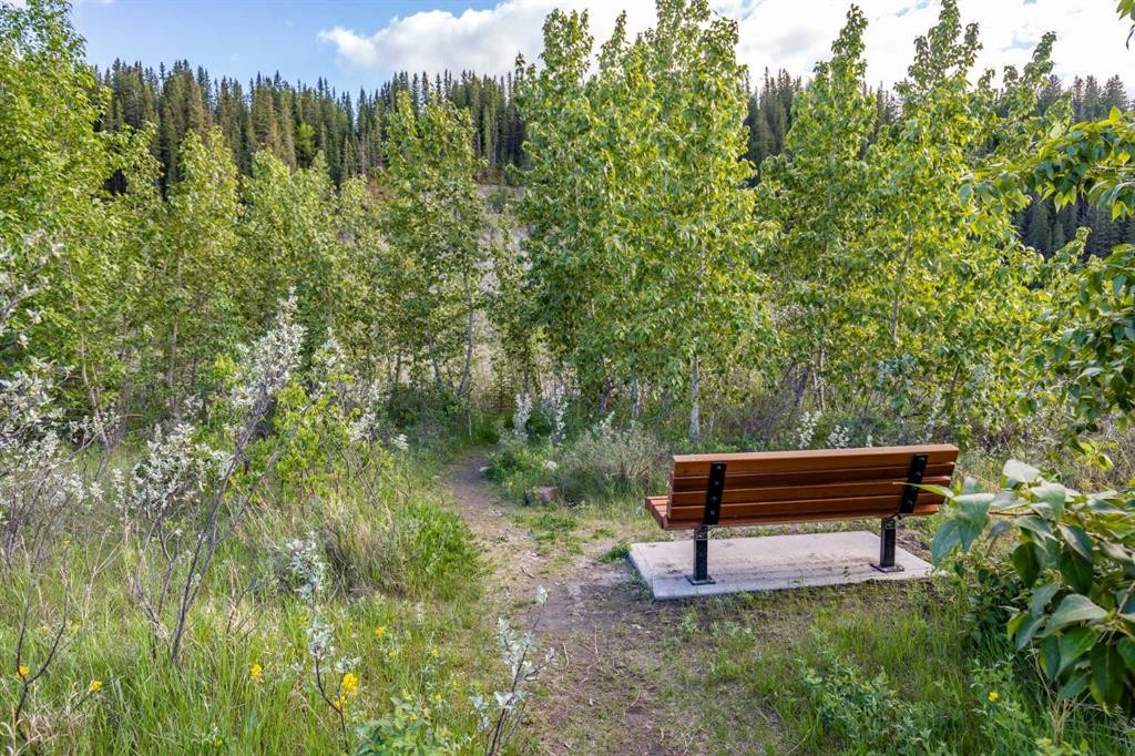 79 Riverview Circle, Cochrane, AB - Outdoor