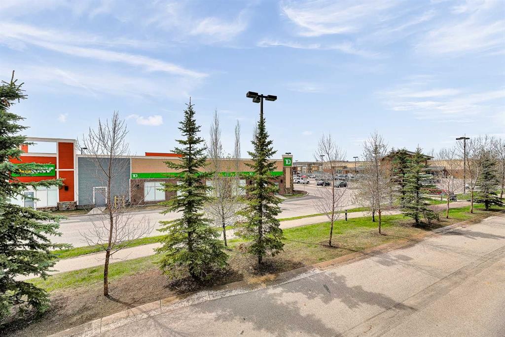 359 Silverado Common Sw, Calgary, AB - Outdoor With View