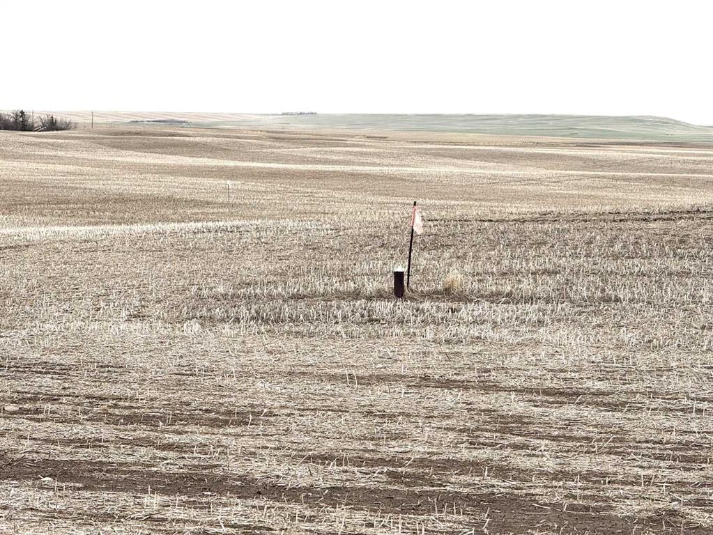 466 Ave E. & 336 St. E., Rural Vulcan County, AB
