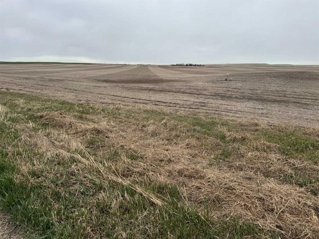 466 Ave E. & 336 St. E., Rural Vulcan County, AB