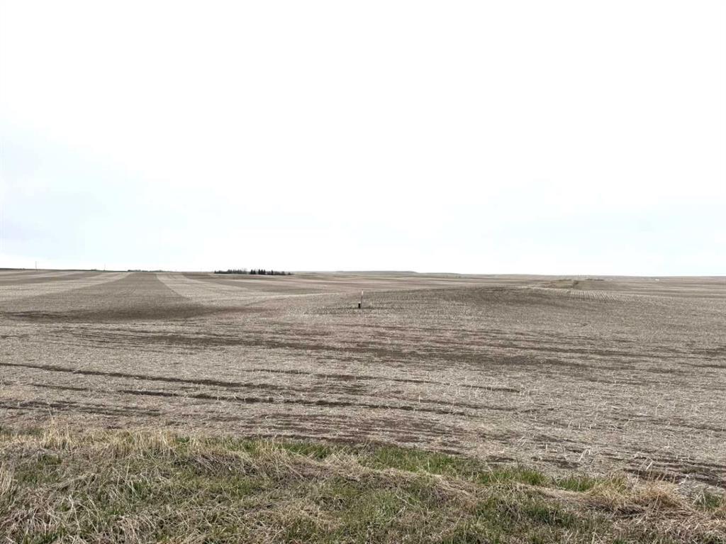 466 Ave E. & 336 St. E., Rural Vulcan County, AB