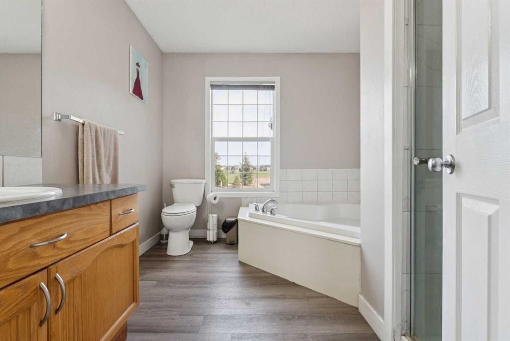 35 Saddletree Drive Ne, Calgary, AB - Indoor Photo Showing Bathroom