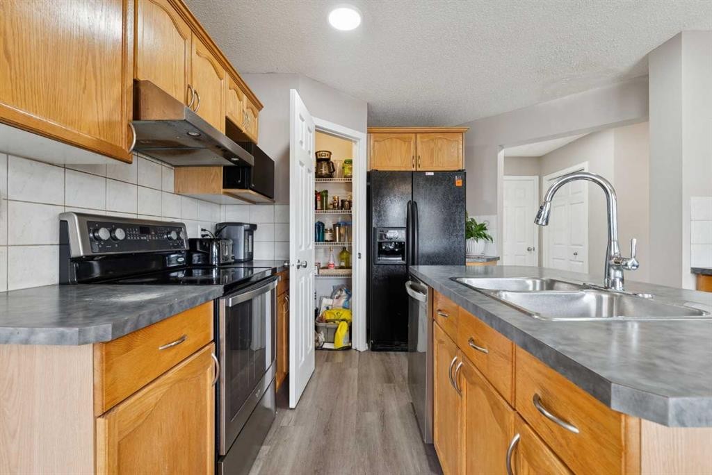 35 Saddletree Drive Ne, Calgary, AB - Indoor Photo Showing Kitchen With Double Sink
