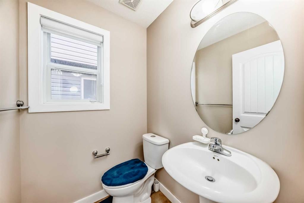 299 Saddlebrook Circle Ne, Calgary, AB - Indoor Photo Showing Bathroom