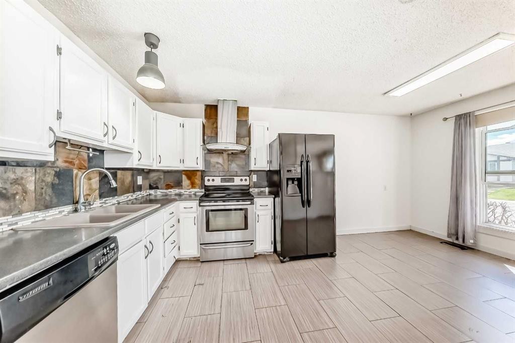 4208 58 Street Ne, Calgary, AB - Indoor Photo Showing Kitchen With Double Sink
