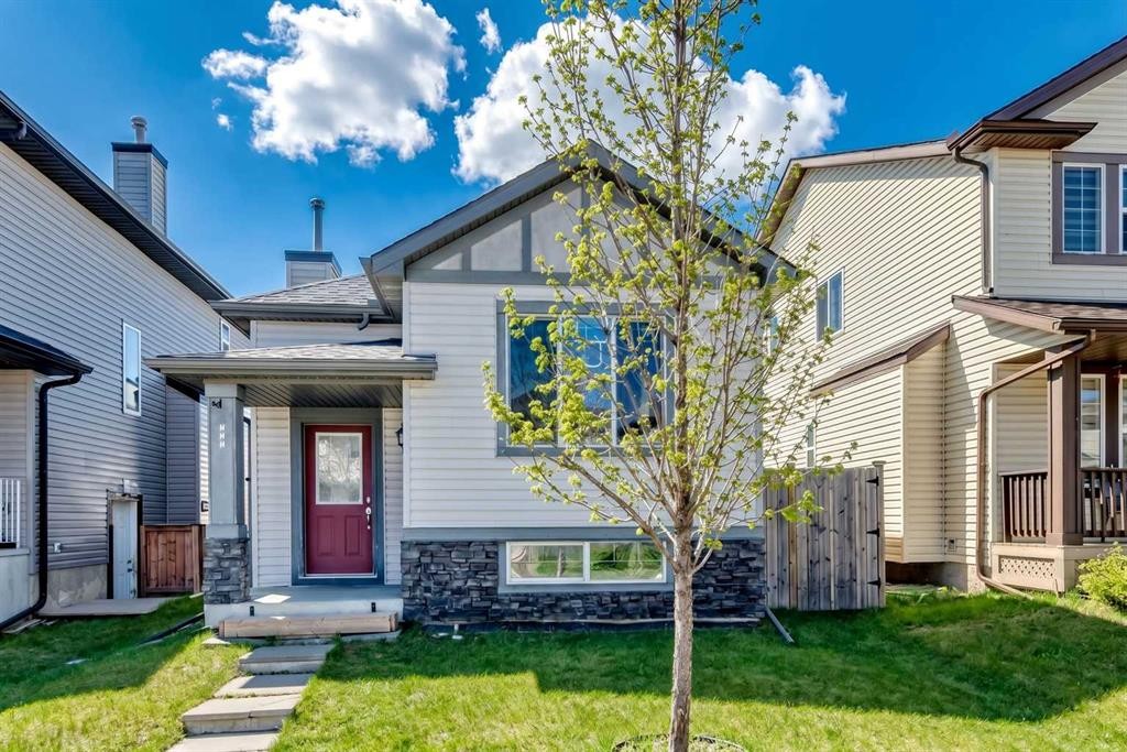 231 Saddlebrook Way Ne, Calgary, AB - Outdoor