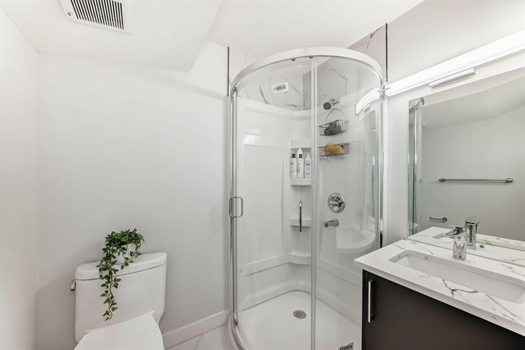 231 Saddlebrook Way Ne, Calgary, AB - Indoor Photo Showing Bathroom