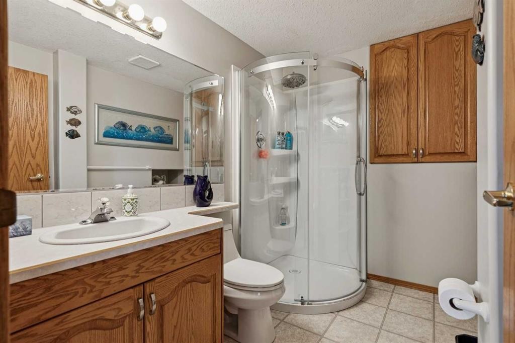 28 Westpoint Drive, Didsbury, AB - Indoor Photo Showing Bathroom