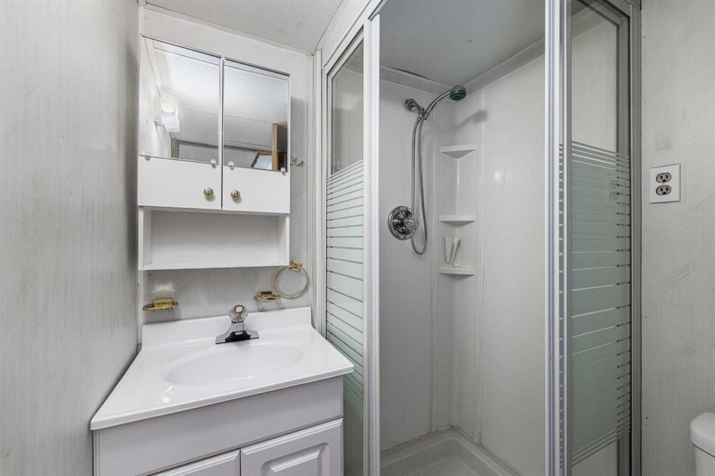 115 Ogden Way Se, Calgary, AB - Indoor Photo Showing Bathroom