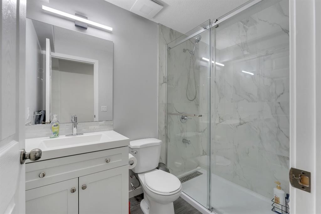 257 Saddlebrook Point Ne, Calgary, AB - Indoor Photo Showing Bathroom