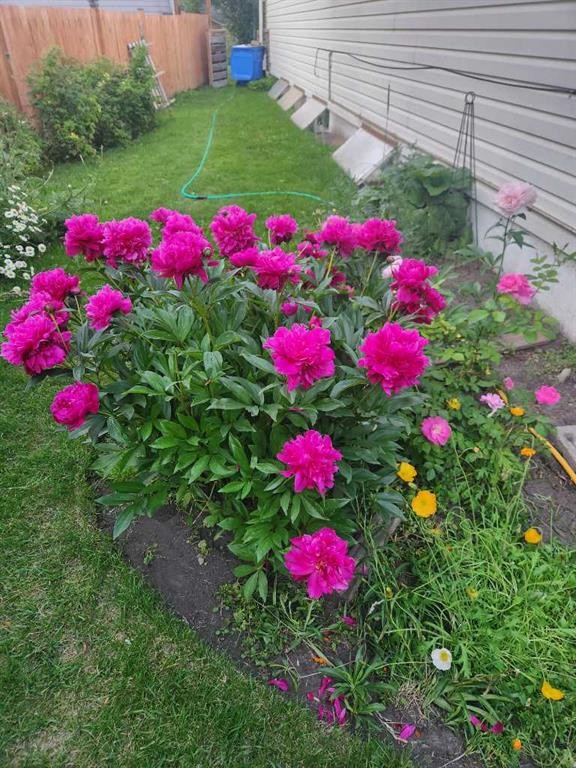 55 Kelvin Place Sw, Calgary, AB - Outdoor