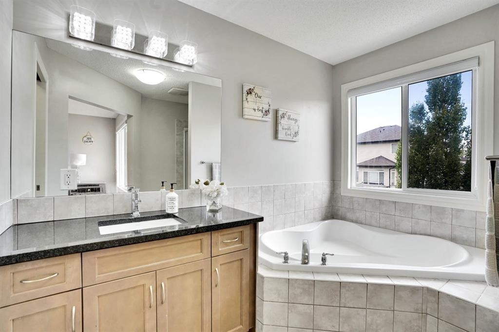117 Hawkmere Place, Chestermere, AB - Indoor Photo Showing Bathroom