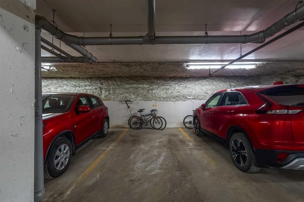 403-117 Copperpond Common Se, Calgary, AB - Indoor Photo Showing Garage