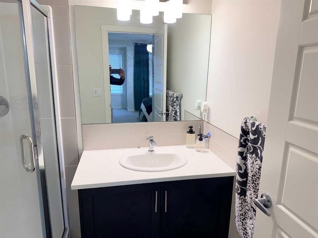 450 Seton Circle Se, Calgary, AB - Indoor Photo Showing Bathroom