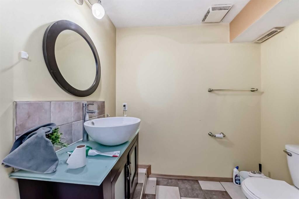 39 Saddleridge Close Ne, Calgary, AB - Indoor Photo Showing Bathroom
