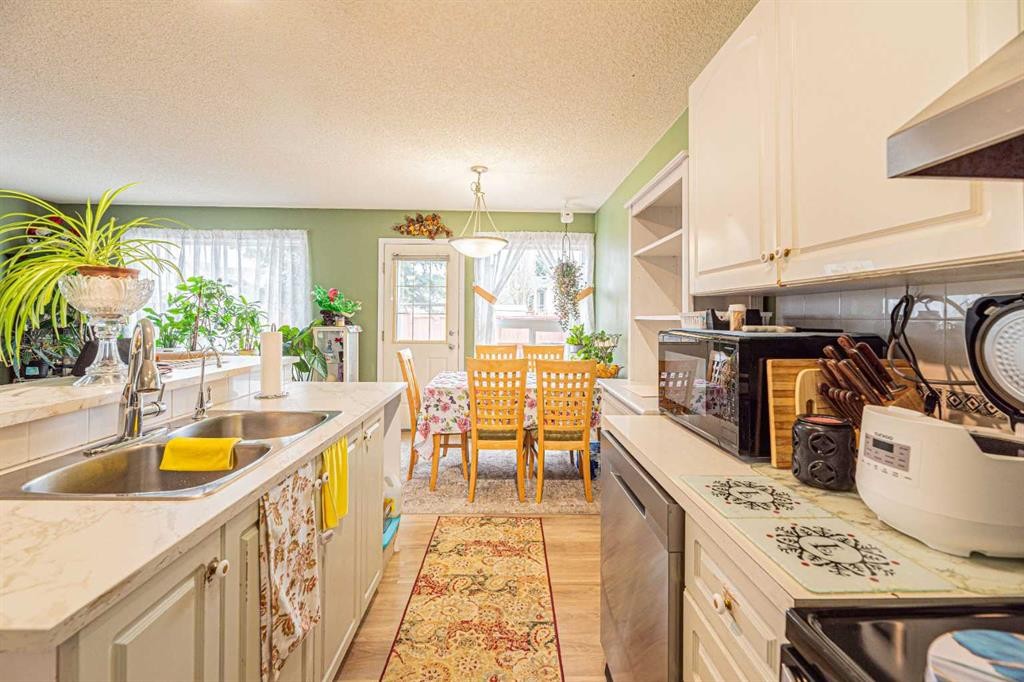 18 Coral Springs Circle Ne, Calgary, AB - Indoor Photo Showing Kitchen With Double Sink
