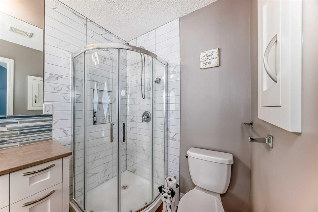 255 Copperfield Manor Se, Calgary, AB - Indoor Photo Showing Bathroom
