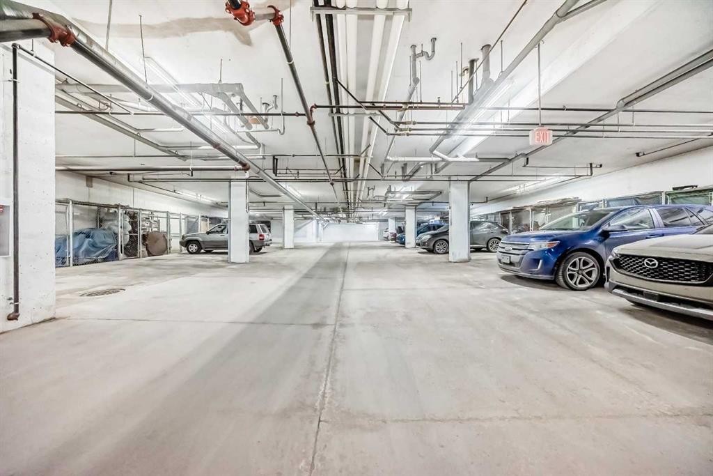 101-22 Panatella Road Nw, Calgary, AB - Indoor Photo Showing Garage