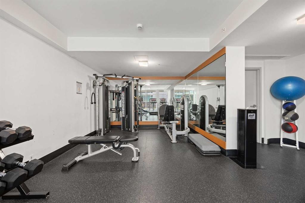 206-519 Riverfront Avenue Se, Calgary, AB - Indoor Photo Showing Gym Room
