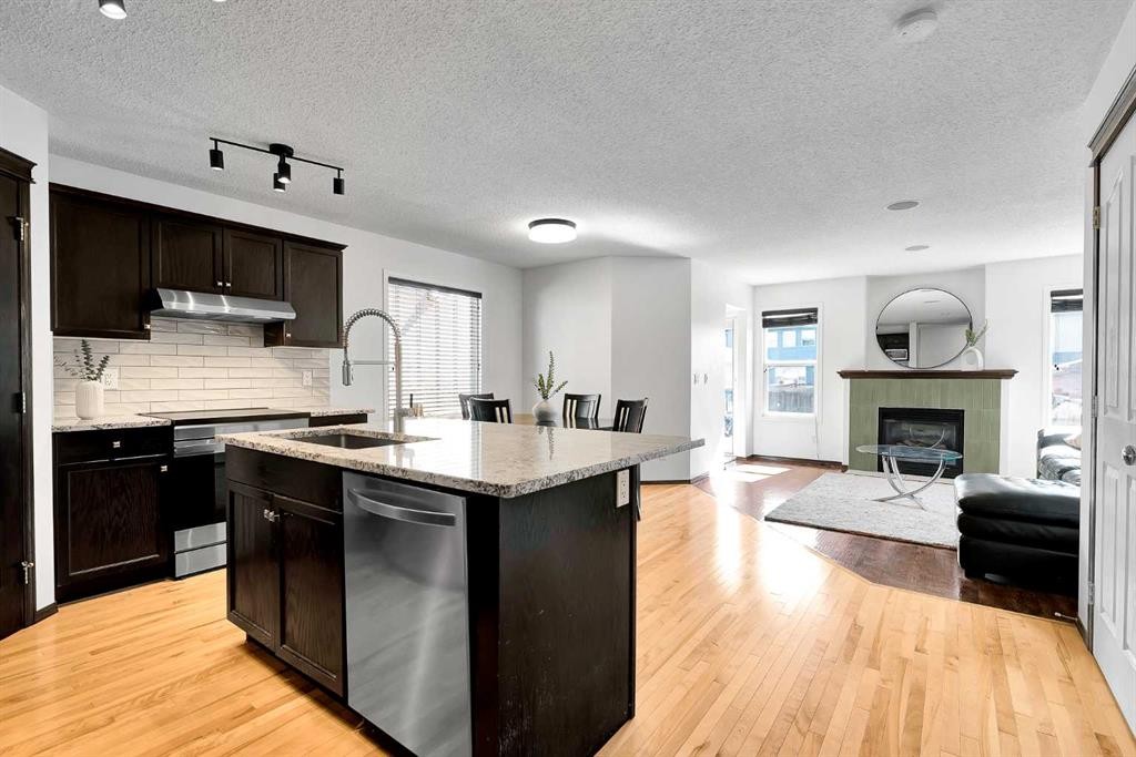 10 Autumn Green Se, Calgary, AB - Indoor Photo Showing Kitchen With Fireplace With Upgraded Kitchen