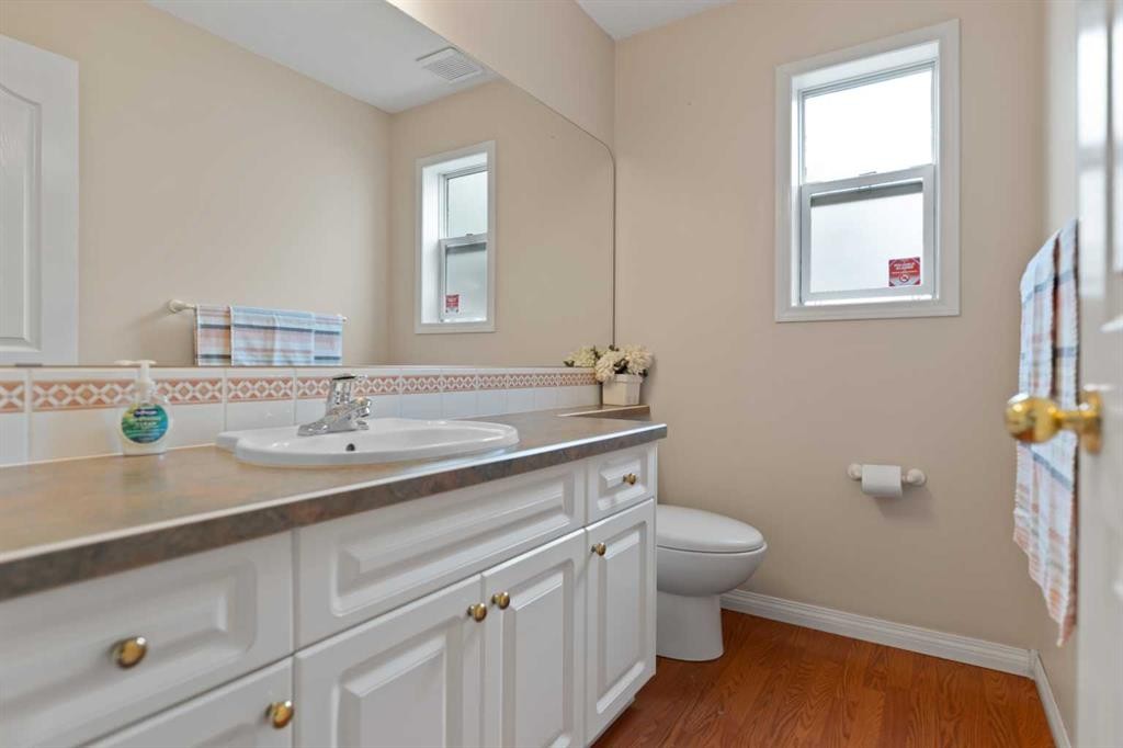 434 Douglas Woods Mews Se, Calgary, AB - Indoor Photo Showing Bathroom