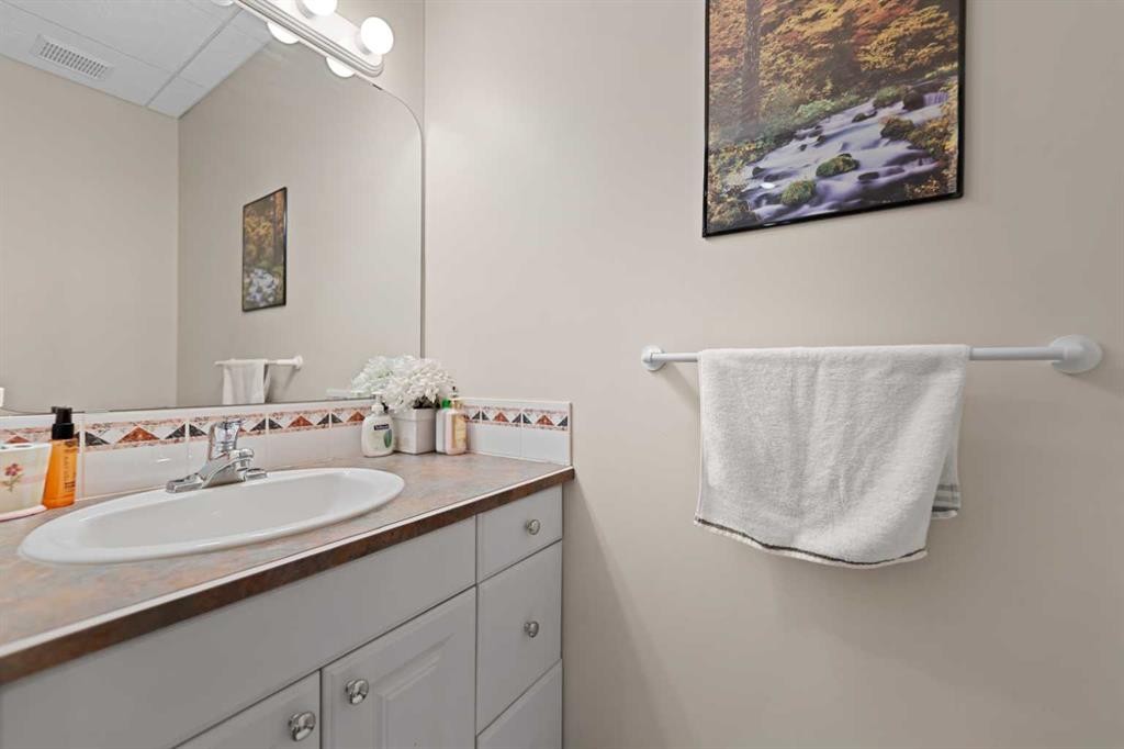 434 Douglas Woods Mews Se, Calgary, AB - Indoor Photo Showing Bathroom