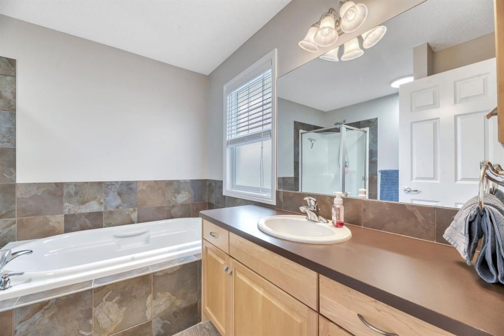 250 Prestwick Close Se, Calgary, AB - Indoor Photo Showing Bathroom