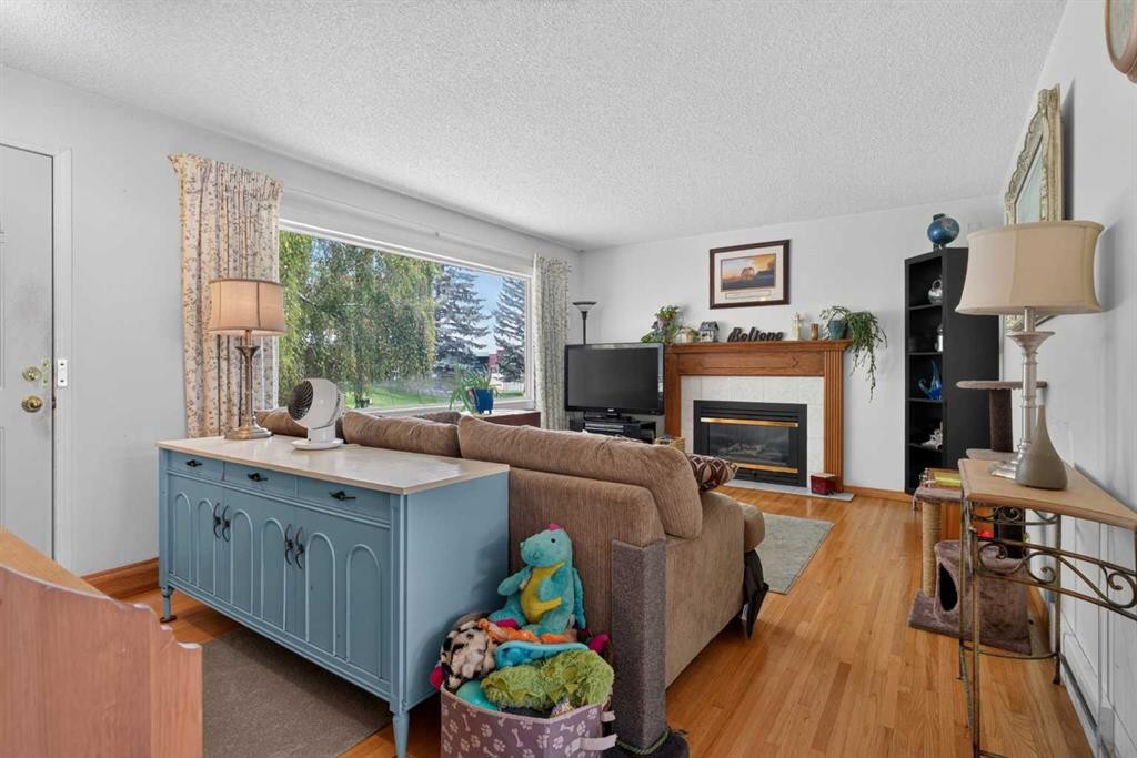 39 Hillgrove Crescent Sw, Calgary, AB - Indoor Photo Showing Living Room With Fireplace