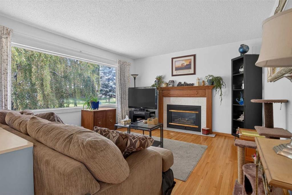 39 Hillgrove Crescent Sw, Calgary, AB - Indoor Photo Showing Living Room With Fireplace